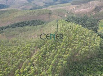 Rural · 265m² · Fazenda 265 ha com 115 ha de eucalipto em Andrelândia MG
