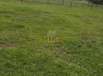 Rural · Fazenda em Inocência/MS