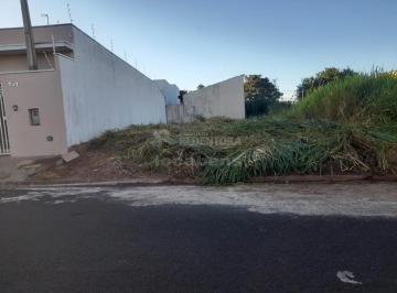Terreno · 154m² · Terreno Padrão em Bady Bassitt