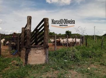 resV2hhdHNBcHAgSW1hZ2UgMjAyMS0xMS0xMiBhdCAwOS41NC41NiAoMSkuanBlZw==660208e20abd1.jpeg · Fazenda à venda em Padre Bernardo de 150 alqueires!