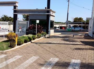 Apartamento · 50m² · 2 Quartos · 1 Vaga · Apartamento à Venda no Condomínio Parque Rosário do Sul - Jardim Manoel Penna - Ribeirão Preto/SP