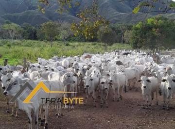 202502182145067176.jpeg · Fazenda para Venda em Natividade, RURAL, 3 dormitórios, 1 suíte, 1 banheiro, 2 vagas