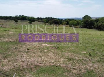 202510200943172026.jpeg · Venda - Sítio 10 Hectares frente a BR-163 - Posto Gil 📍Diamantino-MT