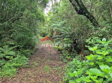 Lote em Rua P - Colinas - São Francisco de Paula/RS

Excelente terreno de 630 m² · Lote em Rua P - Colinas - São Francisco de Paula/RS