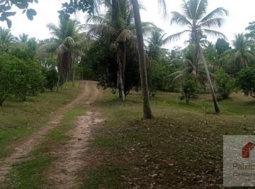 202601071850524749.jpeg · SÍTIO NO MIRANGA EM POJUCA BAHIA