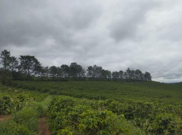 Rural de 2 quartos, Jacuí · Sítio alta produção café mecanizados