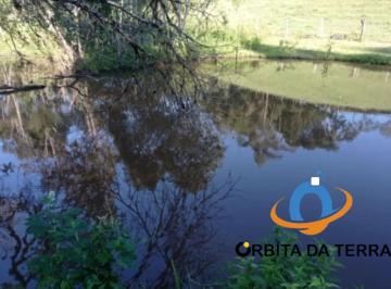 Foto 01 · Chácara em Tijucas do Sul-PR, ótima para plantio e criação de animais, a apenas 12km da cidade!