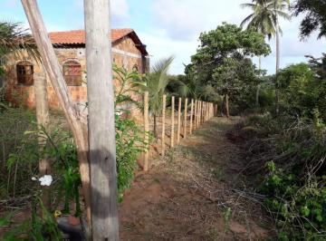 Lote à venda em rua pública, IMBASSAÍ, Mata de São João, BA · Lote à venda em rua pública, IMBASSAÍ, Mata de São João, BA