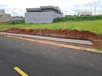Terreno · 365m² · Terreno 365 mts a venda SETLIFE I