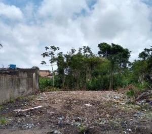 202601071316155174.jpg · Terreno para Venda em Itanhaém, Palmeiras
