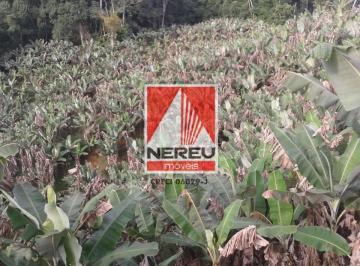Rural · 242000m² · Sítio à Venda – 10 Alqueires - Plantação de Banana - Miracatu/SP