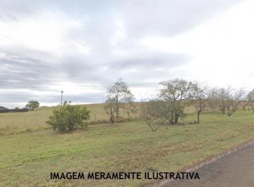 Principal - 59216 · Leilão - Rural - De R$585.000,00 Por R$292.500,00