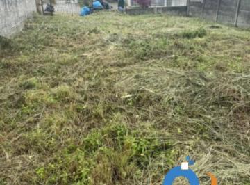 Foto 01 · Terreno à venda em Curitiba-PR, Bairro Alto: 500,00m² de área para construir o seu sonho!