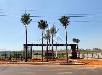 entradaloteamento · LOTE DE 250 METROS NO CONDOMÍNIO VILLAGIO PAULÍNIA