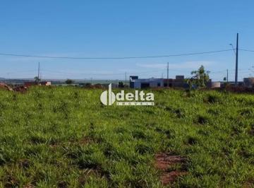 Terreno · 250m² · Terreno disponível para venda o no bairro GSP Life II em Uberlândia-MG