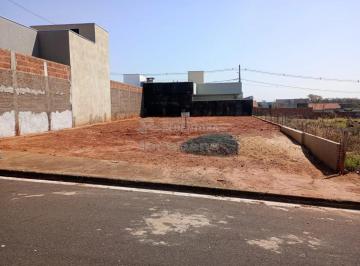Terreno · 200m² · Ótimo Terreno a Venda no Parque Vila Nobre
