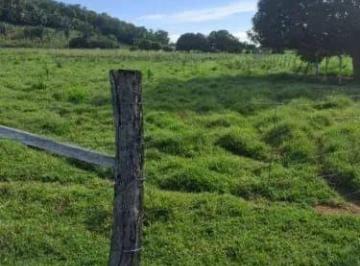 Rural · 250000m² · 4 Quartos · Sítio à Venda em Santo Antônio de Leverger – Agrovila das Palmeiras | 25 Hectares | Estrutura Comple