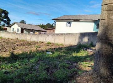 97c7c45190a854fa69bd4aeb2469898fc00ba416 · Excelente terreno a venda no centro de Campo Magro