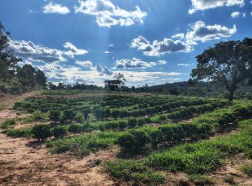 Rural de 3 quartos, Monte Santo de Minas · Lavoura cafés mecanizada ,casa boa