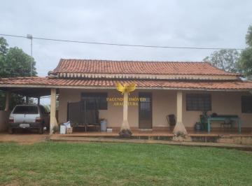 i1.jpg · FAZENDA  DRACENA