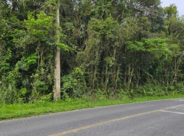 Foto 01 · Terreno, Balsa Nova, Campo Largo, PR
