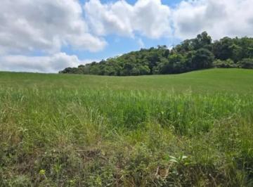 Foto 01 · Terreno, Balsa Nova, Campo Largo, PR