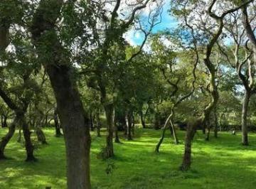 Terreno · 7000m² · Terreno em Jardim Portal da Colina, Sorocaba/SP de 0m² à venda por R$ 30.000.000,00
