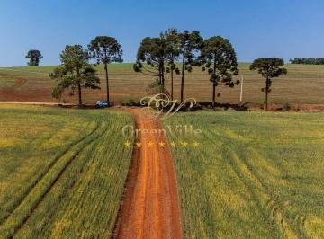 green-ville-imoveis-fazenda-tibagi-000741728072693115.jpg · Imoveis - em Tibagi