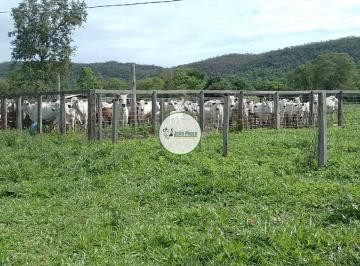 Rural , Unaí · Fazenda a venda em Unaí-MG - 105 Hectares - Aptidão para PECUÁRIA - Curral - Casa sede