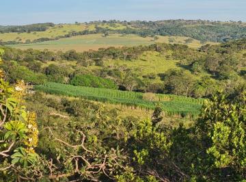 Rural , Fortuna de Minas · Fazenda de 40 ha em Fortuna de Minas/MG