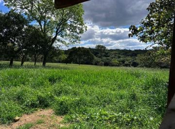 Rural , Curvelo · Fazenda 52 hectares em Curvelo/MG