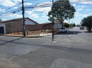 Terreno · 292m² · Terreno de 292,95 m² disponível para Venda  no bairro Jardim Das Palmeiras em Uberlândia-MG