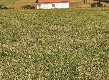 Rural , Porto Feliz · Sítio em Porto Feliz