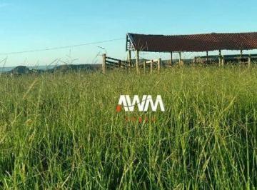 79587ea7cdd85012caf627e882d8fe71f8038a15 · Fazenda à venda, 4540000 m² por R$ 6.000.000,00 - 256 - Tesouro/MT