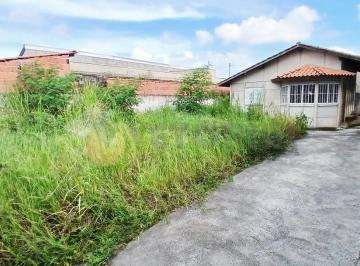 22de74f88c7758223c8c96bed81d403154bbf779 · Casa com 2 dormitórios à venda, 60 m² por R$ 350.000,00 - Balneário dos Golfinhos - Caraguatatuba/SP