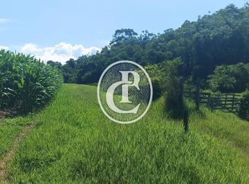 Rural · 300m² · 1 Quarto · 10 Vagas · Fazenda 34 Alqueires Pecuária e Agricultura à venda em Paraibuna/SP