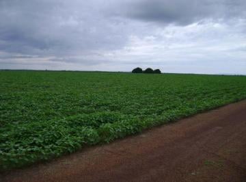 Rural en Venda de 4 quartos Centro · Oportunidade em Porto Alegre do Norte MT