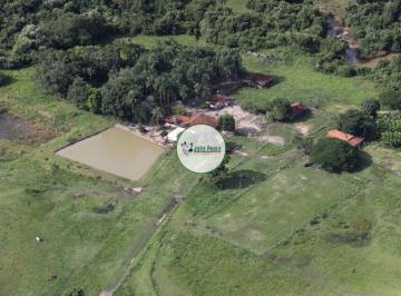 Rural , Pontalina · Fazenda a venda Pontalina-GO - 200 Hectares - Dupla aptidão - Toda formada no pasto - Boa de água
