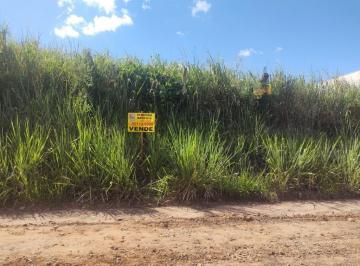 Foto 01 · Terreno - Jacarezinho