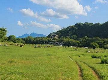 Vista da pastagem com o gado ao fundo, fazenda em Silva Jardim · Fazenda à Venda em Silva Jardim/RJ | 63,4 Alqueires