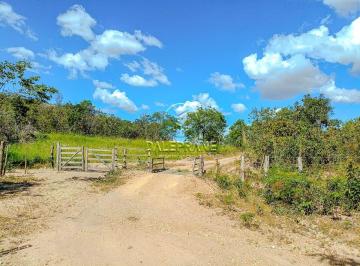 Rural , Mimoso de Goiás · Fazenda Ideal para Pecuária e Lazer