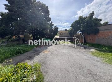 73bfb87b-9b9d-49b6-80c0-6dda62912b68.webp · LOTE BAIRRO UNIVERSAL