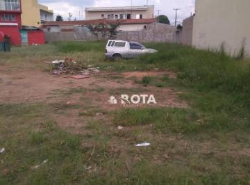 8aa3a9698224ffaadb35f3e4b0e25f3654e9bd5a · Terreno plano, pronto para construir, no Bairro João Aranha