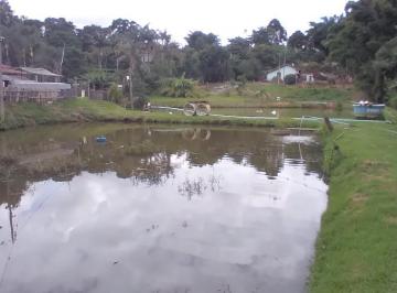 202601140756222281.jpeg · Sítio para Venda em Pinhalzinho, ., 2 dormitórios, 1 suíte, 1 banheiro