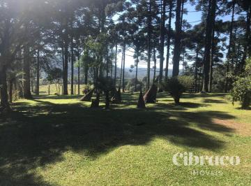 83742_0.jpg · Chácara de 129.480,31m², em São José dos Pinhais - Colônia Muricy