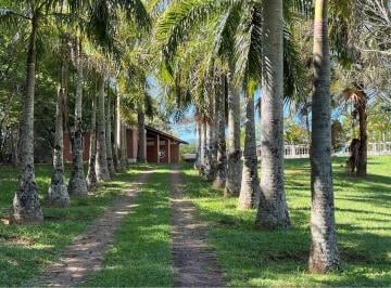 Rural · 1000m² · 6 Quartos · Sítio no Morro Azul com vista deslumbrante!