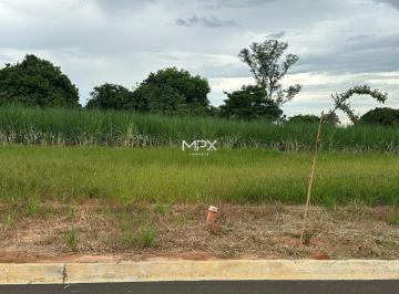 Terreno · 176m² · Terreno à venda em Saltinho, Terra Nova, com 176 m²