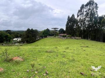 134464_0.jpg · Chácara em CAMPO LARGO/ BATEIAS com 30.250,00m²