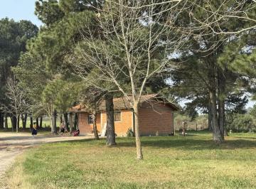 47860_0.jpg · Fazenda - São Luiz do Purunã