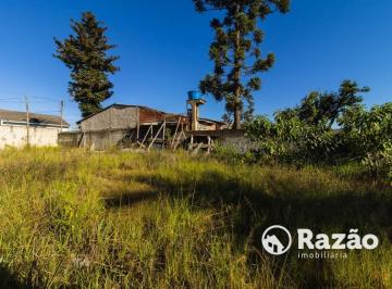 84083_0.jpg · Terreno com 490 m² no Tingui